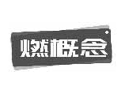 燃概念