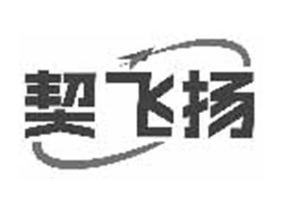 契飞扬