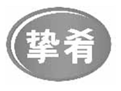 挚肴