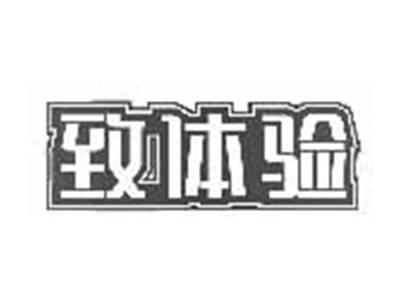致体验