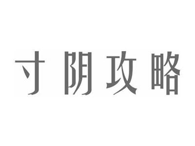 寸阴攻略