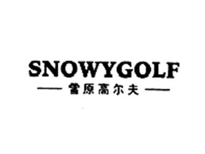 雪原高尔夫SNOWYGOLF