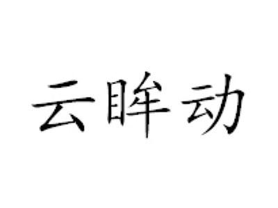 云眸动