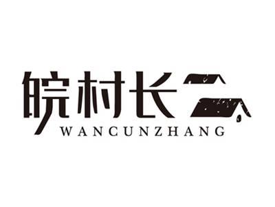 皖村长