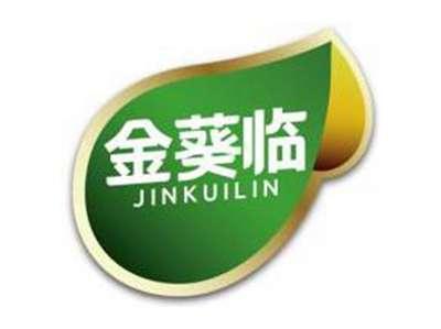 金葵临JINKUILIN