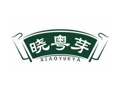 晓粤芽XIAOYUEYA