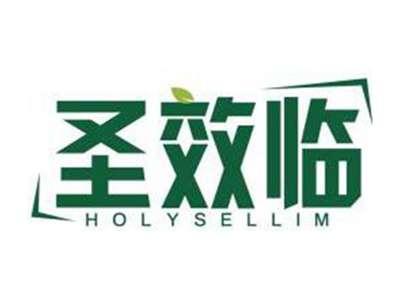 圣效临HOLYSELLIM