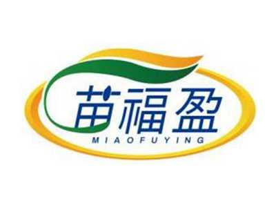 苗福盈MIAOFUYING