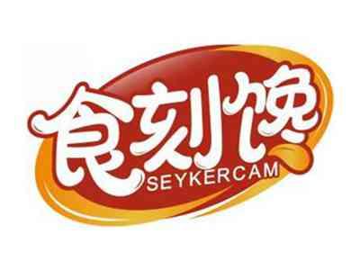 食刻馋SEYKERCAM