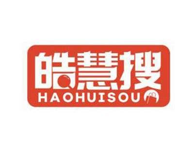 皓慧搜HAOHUISOU