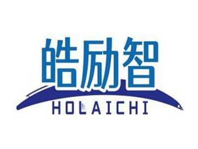 皓励智HOLAICHI