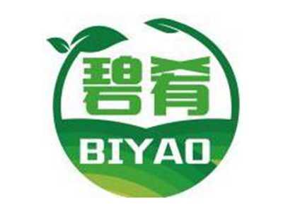 碧肴BIYAO