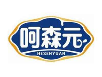 呵森元HESENYUAN