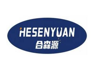 合森源HESENYUAN