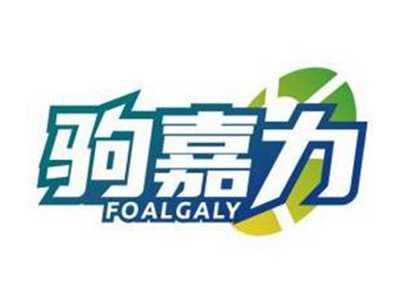 驹嘉力FOALGALY