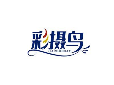 彩摄鸟CAISHENIAO