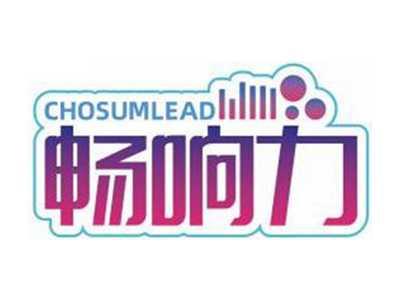 畅响力CHOSUMLEAD