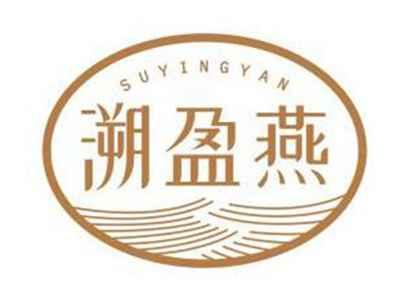 溯盈燕SUYINGYAN