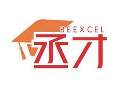 丞才BEEXCEL
