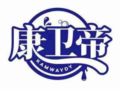 康卫帝KAMWAYDY