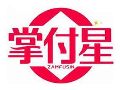 掌付星ZAMFUSIN