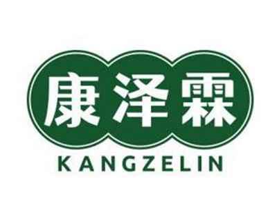 康泽霖KANGZELIN
