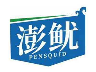 澎鱿PENSQUID