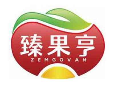 臻果亨ZEMGOVAN