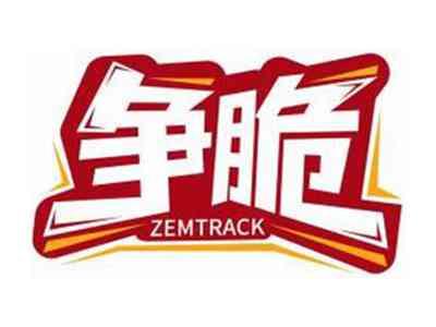 争脆ZEMTRACK
