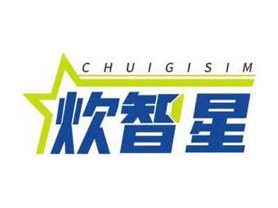 炊智星CHUIGISIM