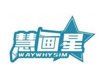 慧画星WAYWHYSIM