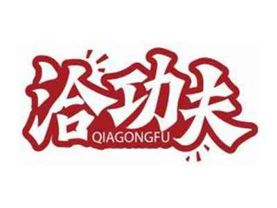 洽功夫QIAGONGFU