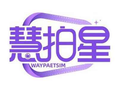 慧拍星WAYPAETSIM