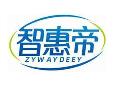 智惠帝ZYWAYDEEY
