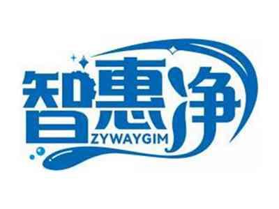 智惠净ZYWAYGIM