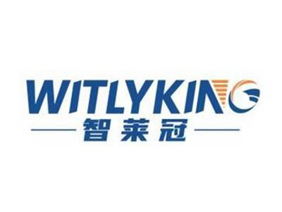 智莱冠WITLYKING