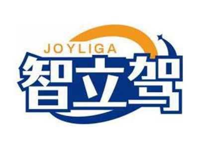 智立驾JOYLIGA