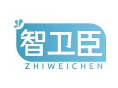 智卫臣ZHIWEICHEN