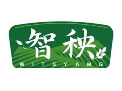 智秧WITSYAMG