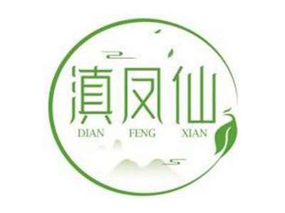 滇凤仙DIANFENGXIAN