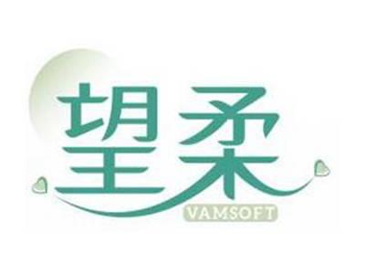望柔VAMSOFT