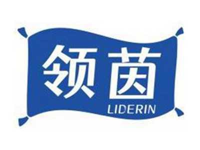 领茵LIDERIN