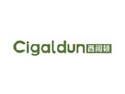 西阁顿
CIGALDUN