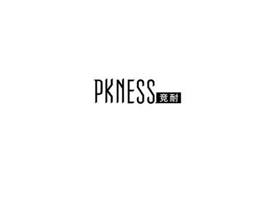 竞耐
pkness