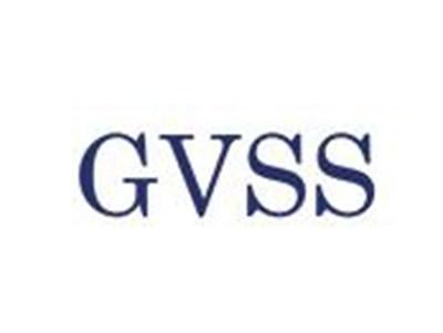 GVSS