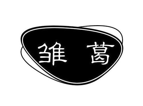 雏葛