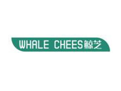 鲸芝
WHALECHEES