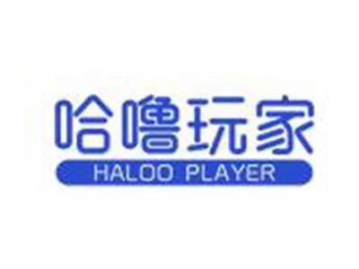 哈噜玩家
HALOOPLAYER