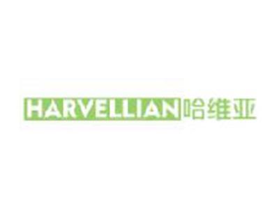 哈维亚
HARVELLIAN