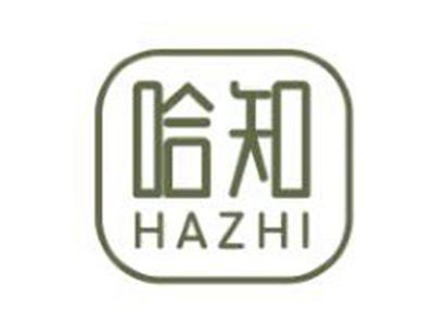 哈知
HAZHI
